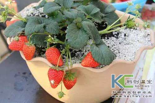 浙江新東陽建設(shè)集團(tuán)有限公司